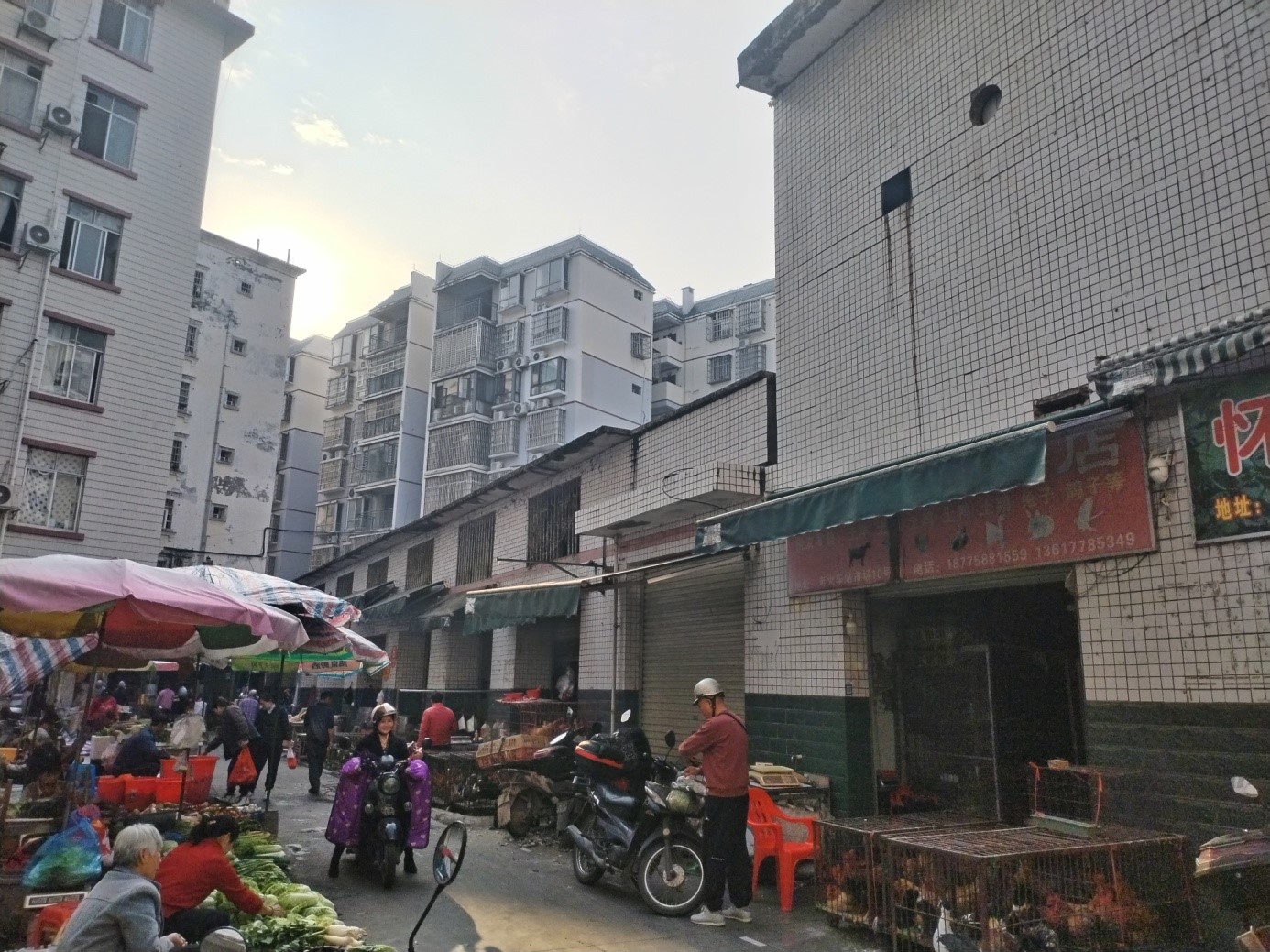 尊龙凯时河池分公司招租公告