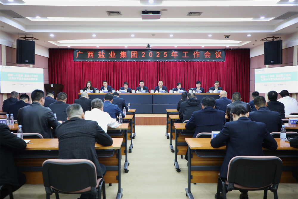 广西尊龙凯时集团召开2025年工作会议